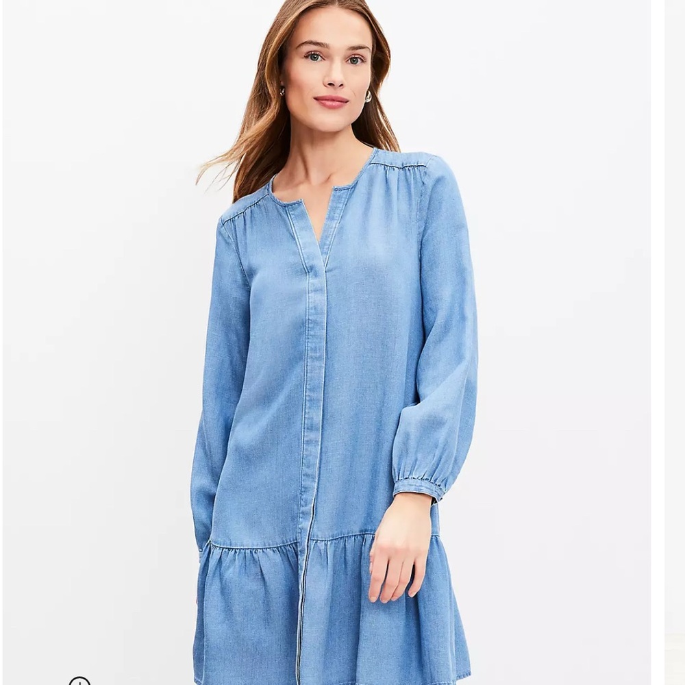 Loft chambray dress
